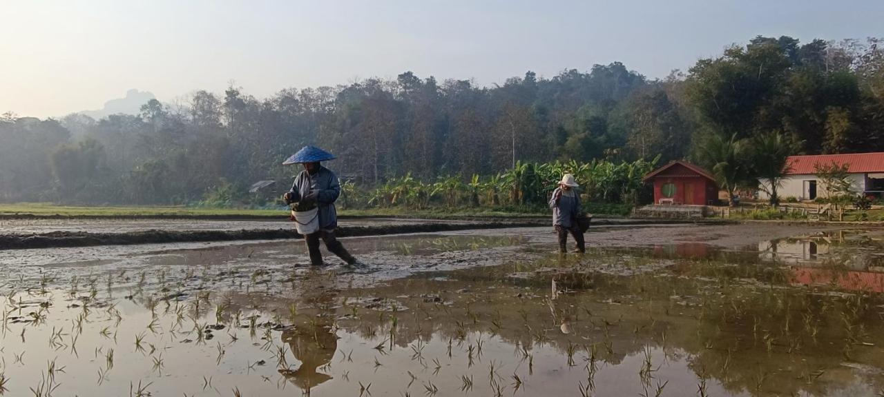 Kaewma Farmstay Khuang Kom Zewnętrze zdjęcie