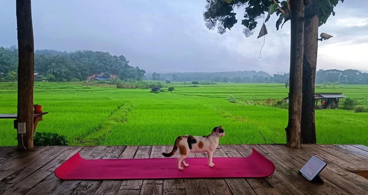 Kaewma Farmstay Khuang Kom Zewnętrze zdjęcie