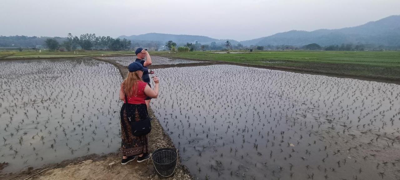 Kaewma Farmstay Khuang Kom Zewnętrze zdjęcie