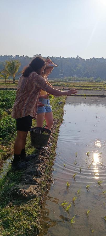 Kaewma Farmstay Khuang Kom Zewnętrze zdjęcie